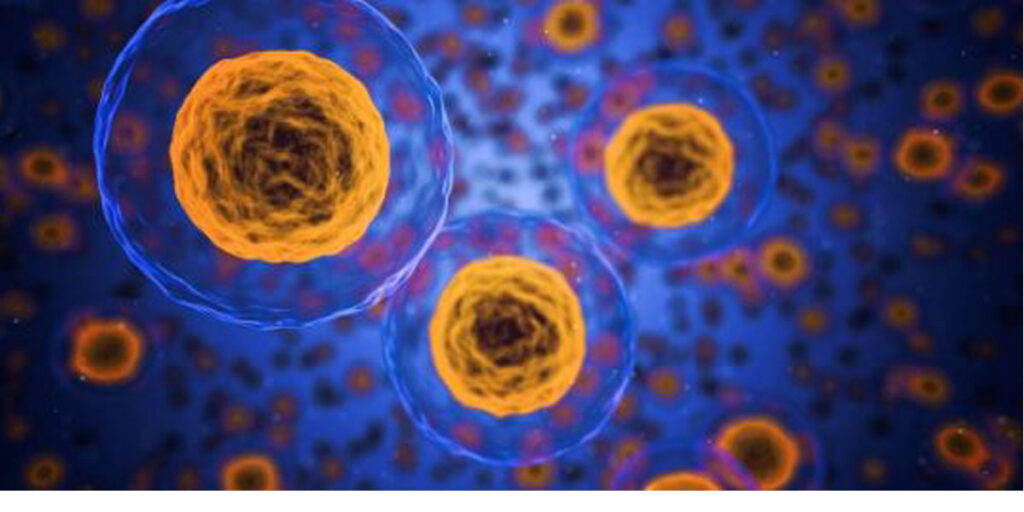 Las células se encuentran en todo el cuerpo humano, siendo las responsables de captar los nutrientes que tienen los alimentos que consumimos, las cuales son distribuidas por todo el cuerpo […]