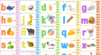 Decorar el aula de manera educativa puede tener un gran impacto en el aprendizaje de los niños. En Orientación Andujar, compartimos un «Bonito Silabario en Gran Formato» de nuestros amigos […]