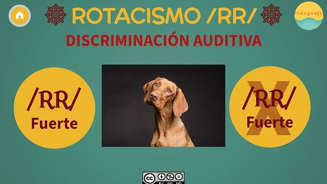Las siguientes actividades son una herramienta valiosa para ayudar a los niños a superar las dificultades de pronunciación de la «R». Con su enfoque lúdico y motivador, este recurso no solo […]