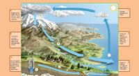 El ciclo del agua es uno de los procesos naturales más importantes para la vida en la Tierra, y enseñar este fenómeno en el aula de manera visual y didáctica […]