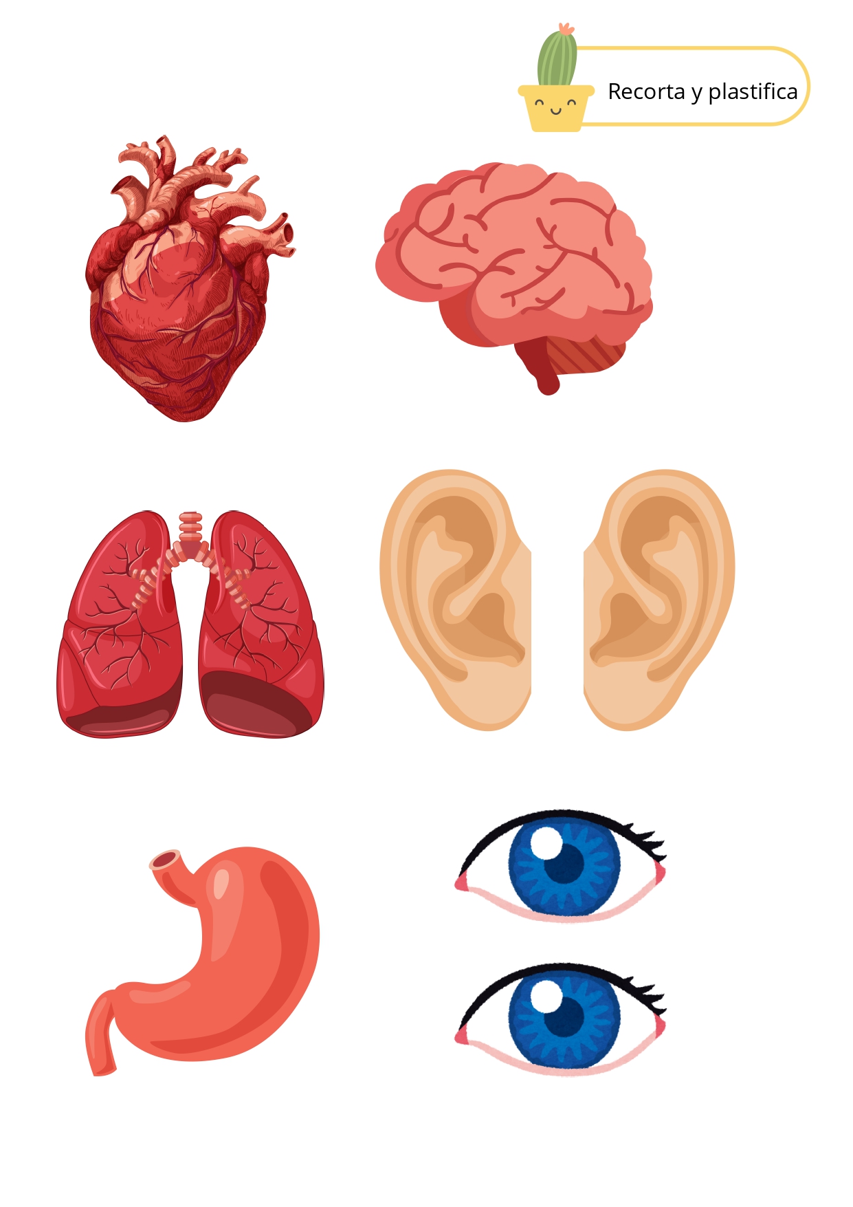 Pack El Cuerpo Humano Etapa Infantil Orientacion Andujar pack-el-cuerpo-humano-etapa-infantil-orientacion-andujar
