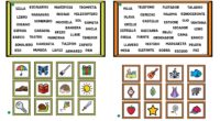 Hoy quiero compartir una actividad educativa divertida y desafiante: el «Lince de Palabras». En este tablero aparecen varias palabras y una baraja de tarjetas con imágenes. El objetivo de la […]