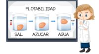 🥚 Experimento: Flotabilidad de un huevo con sal y azúcar – Ficha de trabajo 🌊 ¿Por qué un huevo flota en algunas soluciones y en otras no? Este experimento permite […]