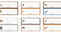 ¡Aprender a trazar nunca fue tan divertido! Este material está diseñado especialmente para educación infantil, combinando la grafomotricidad con la temática de los animales salvajes, ideal para desarrollar la motricidad […]