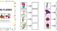 La primavera está en plena floración, y con ella llega una oportunidad única para integrar el aprendizaje y la creatividad en el aula. Con el enfoque TEACCH, te presentamos materiales […]