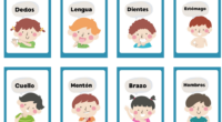 Aprender las partes del cuerpo es una de las primeras experiencias de vocabulario y conciencia corporal en los niños. Estas bonitas tarjetas están pensadas para que los más pequeños puedan […]