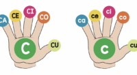 Este recurso es ideal para trabajar la conciencia silábica de manera visual y manipulativa. Con estas fichas en forma de manos, los alumnos pueden identificar, recortar y agrupar sílabas tanto […]