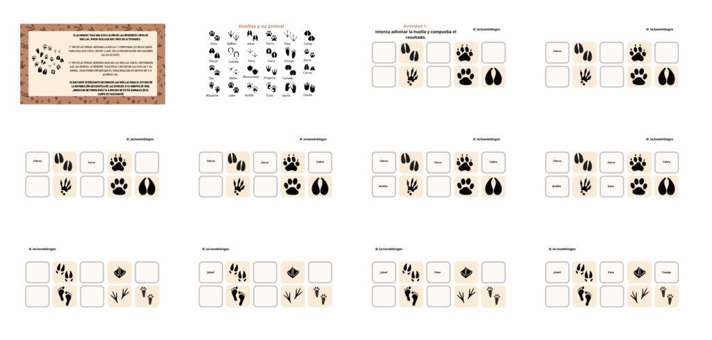 ¡Hola a todos, profes y futuros biólogos! En Orientación Andújar, nos encanta desentrañar los misterios de la naturaleza y, en esta ocasión, vamos a seguir el rastro de la vida […]