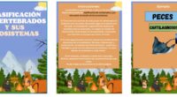 ¡Hola a todos, amantes de la naturaleza y el conocimiento! Hoy nos embarcamos en una aventura fascinante para explorar el reino animal, centrándonos en uno de los grupos más diversos […]