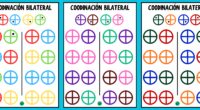 Esta ficha está diseñada para trabajar la coordinación bilateral de forma visual y manipulativa. A través de cuatro círculos con colores diferentes, los alumnos deben colocar puntos con ambas manos […]