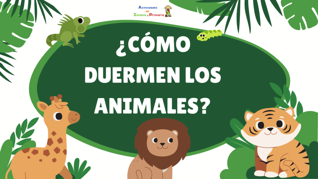 Este recurso didáctico invita a los alumnos a descubrir las sorprendentes formas en que los animales descansan. Una propuesta ideal para fomentar la curiosidad científica y el amor por la […]