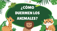 Este recurso didáctico invita a los alumnos a descubrir las sorprendentes formas en que los animales descansan. Una propuesta ideal para fomentar la curiosidad científica y el amor por la […]