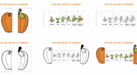 Con la llegada del otoño y la celebración de Halloween, es el momento perfecto para trabajar en el aula el ciclo de vida de la calabaza de una forma visual […]