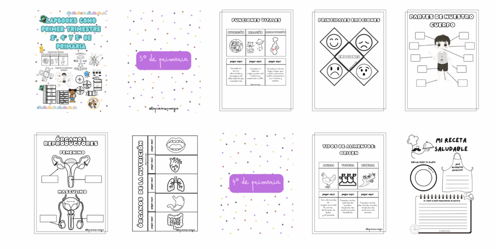Disponibles para 3º, 4º y 5º de Educación Primaria. ¿Quieres lograr un aprendizaje significativo, motivador y práctico en tus clases? 💡Entonces estos LAPBOOKS de Conocimiento del Medio (CONO) son para […]