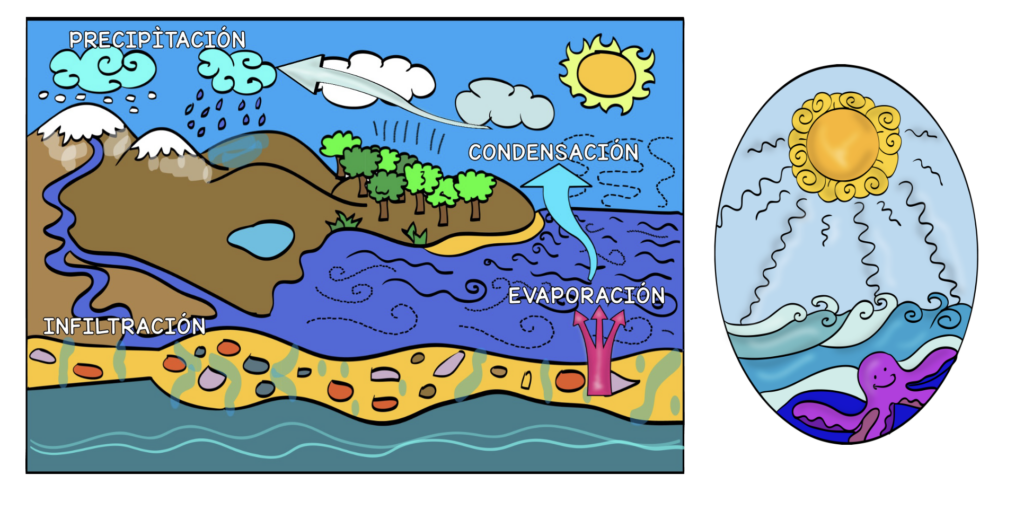 El ciclo del agua es uno de esos contenidos que acompañan a los niños y niñas durante toda su etapa escolar. Sin embargo, cuando lo presentamos por primera vez en [&hellip;]