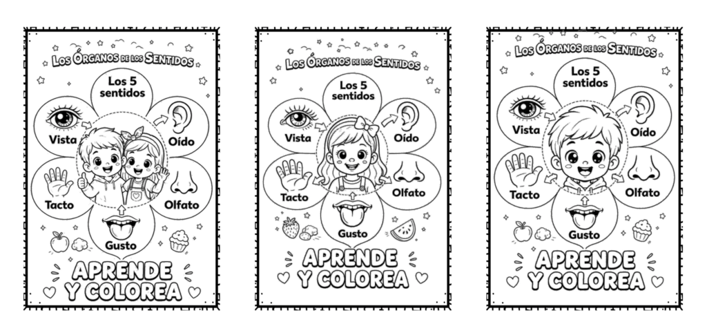 Una actividad visual y divertida para descubrir cómo percibimos el mundo Los 5 sentidos son uno de los contenidos más importantes en Infantil y Primer Ciclo, porque ayudan a los [&hellip;]