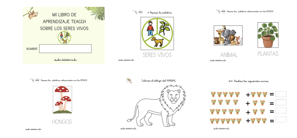 Este Cuaderno TEACCH de los Seres Vivos es un material diseñado para trabajar los contenidos básicos de ciencias desde un enfoque visual, manipulativo y altamente estructurado, ideal para alumnado de [&hellip;]
